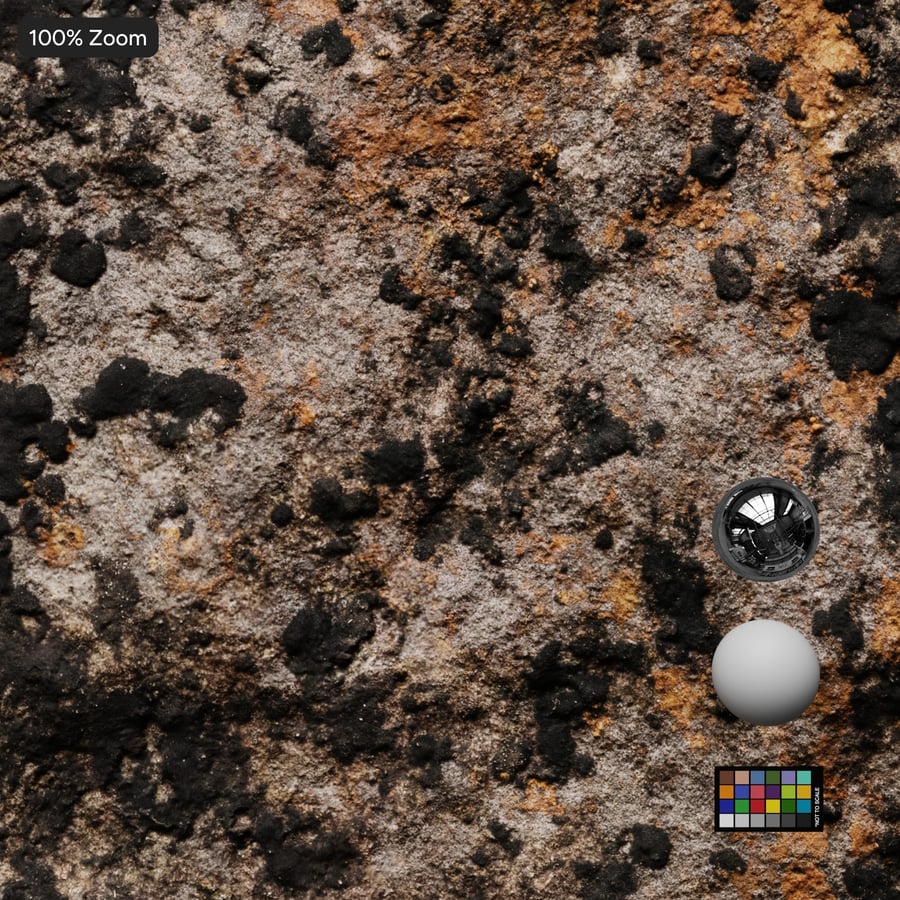 Lichen Moss Covered Cliff Rock Texture, Grey