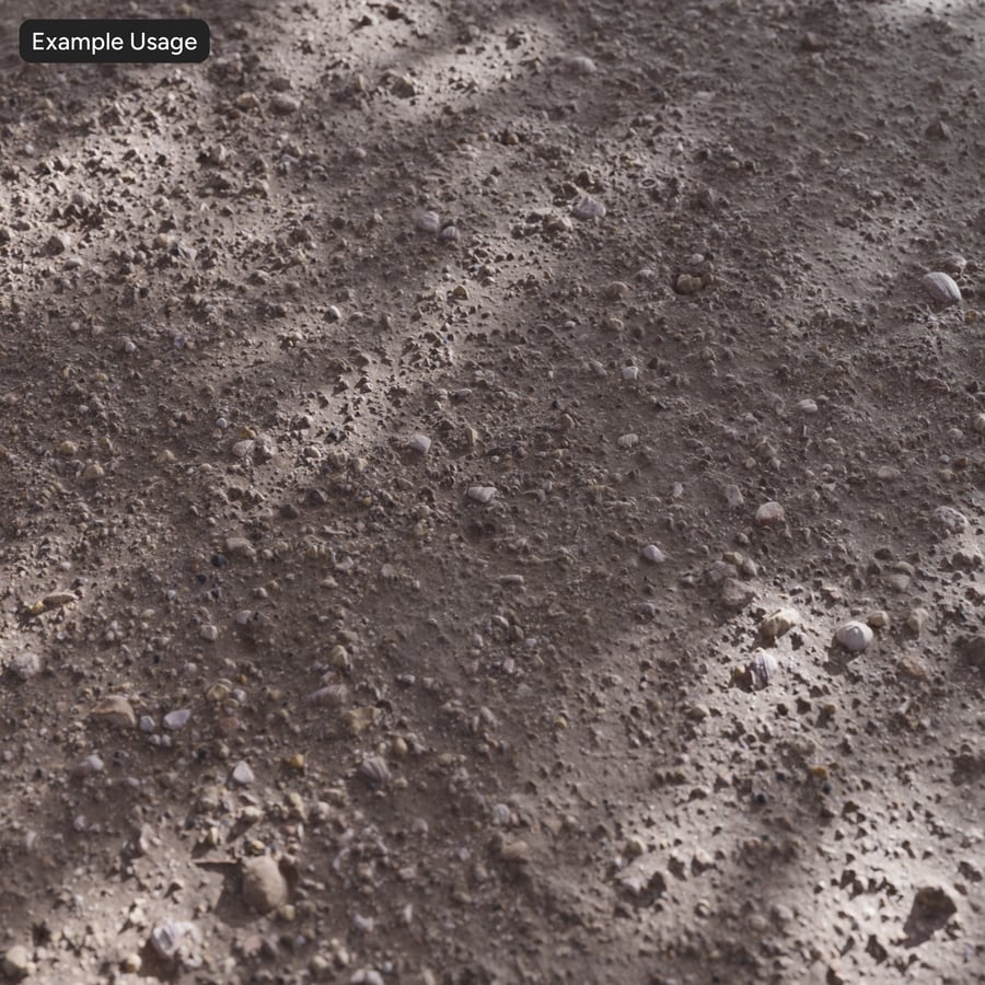 Broken Seashells on Dirt Texture