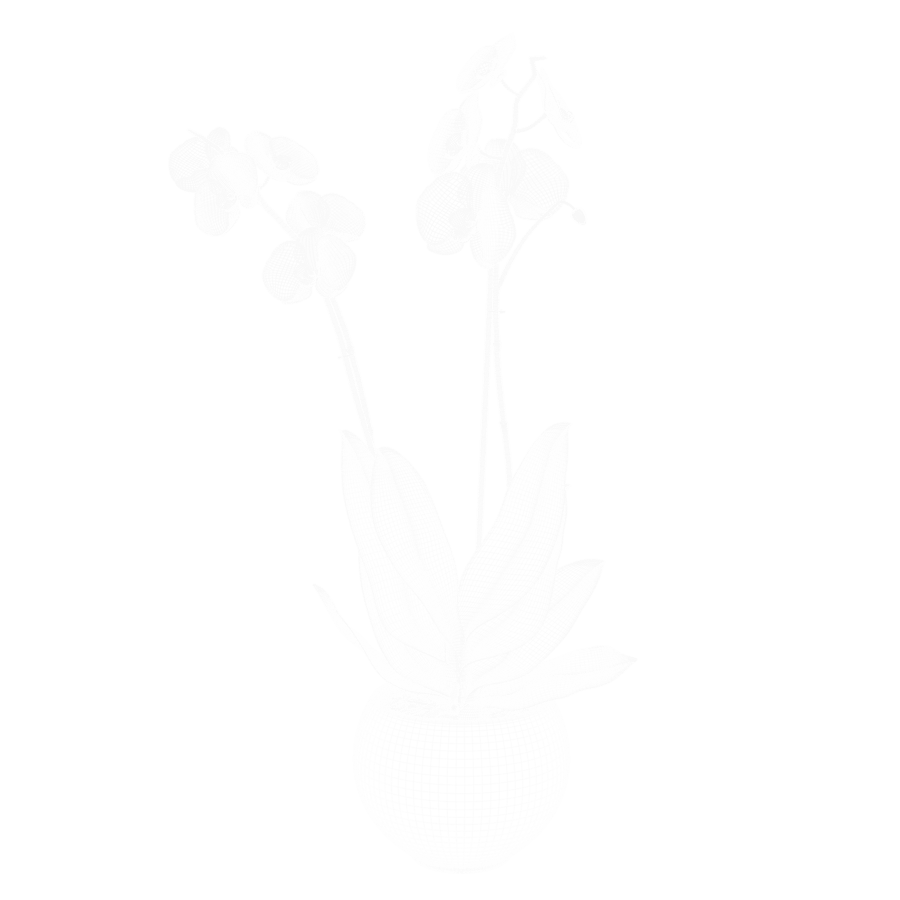 Modelo de planta de orquídea, roxo