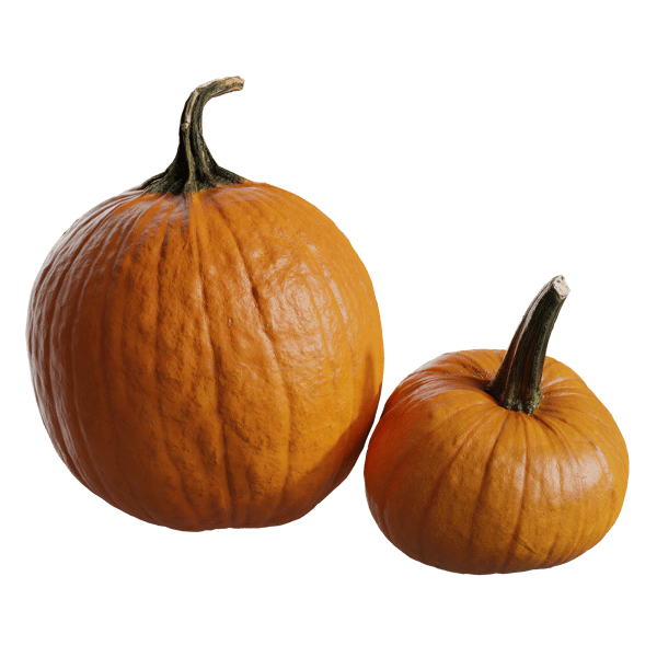 Pumpamodeller med långa stjälkar Collection