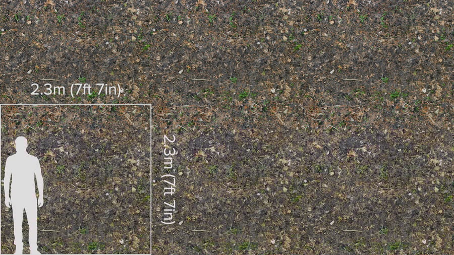 Textura de vegetação seca na floresta