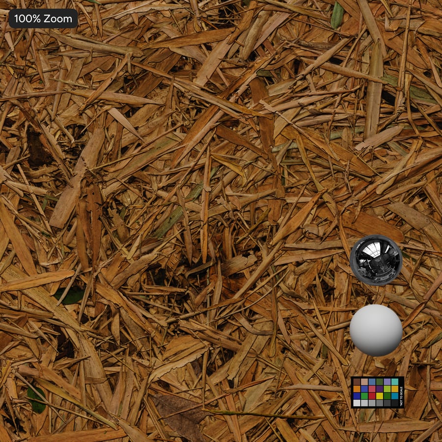 Textura de hojas de bambú caídas en el suelo