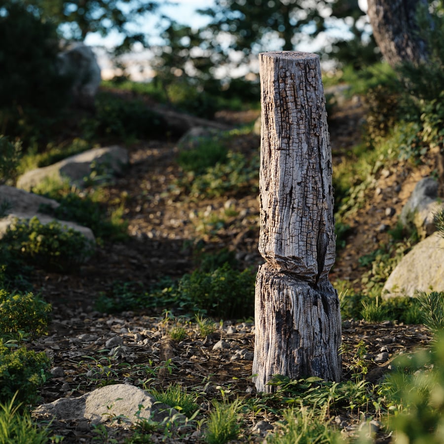 Tall Cut Decaying Flaking Tree Stump