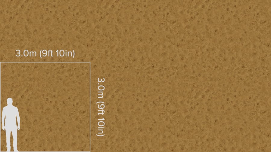 Wet Footprints on Sand Texture, Caramel