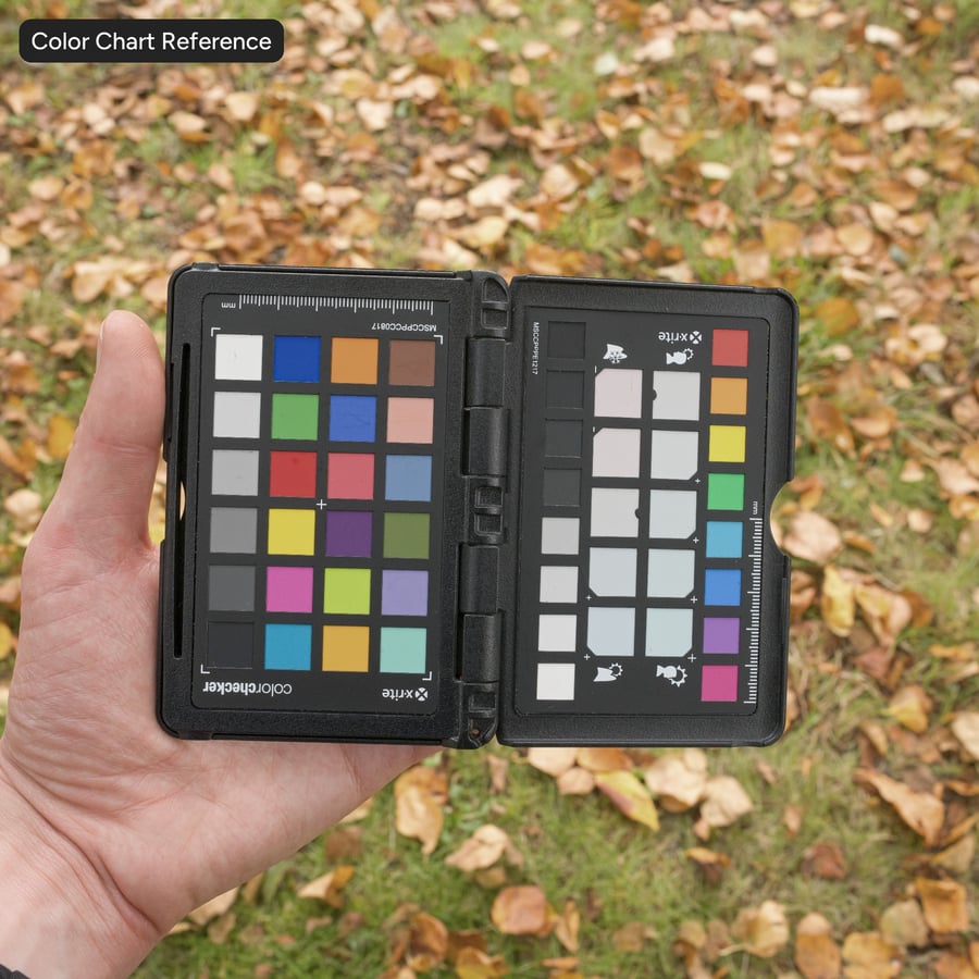 Herfstbladeren op grasgrondtextuur