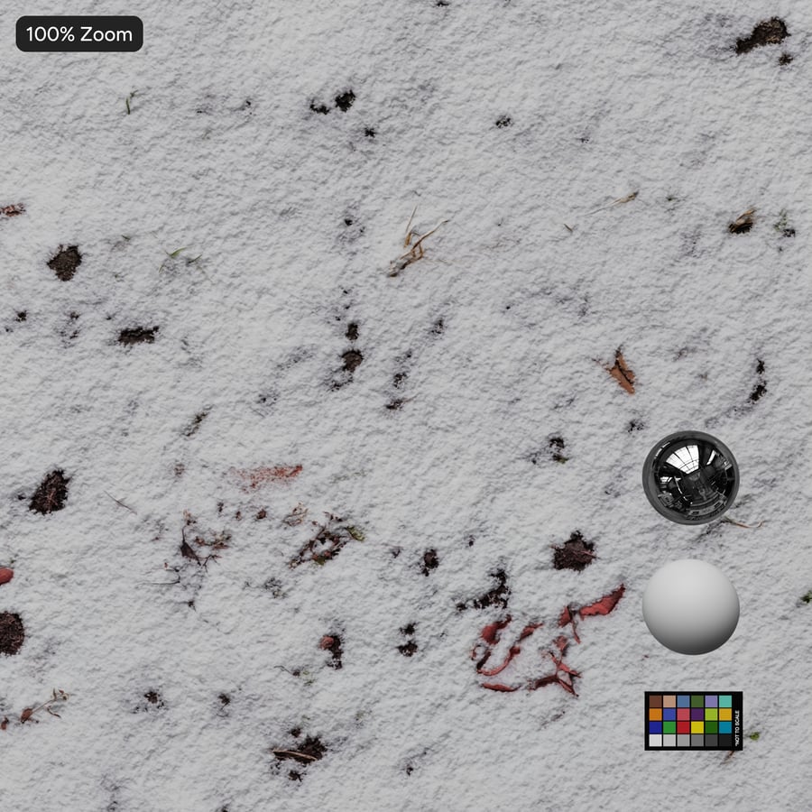 Snow on Grass Texture