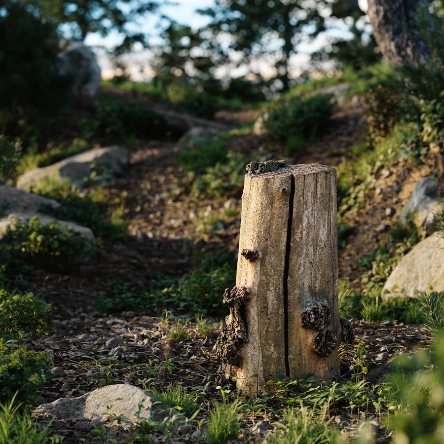 Medium Cut Bare Split Burly Stump Model