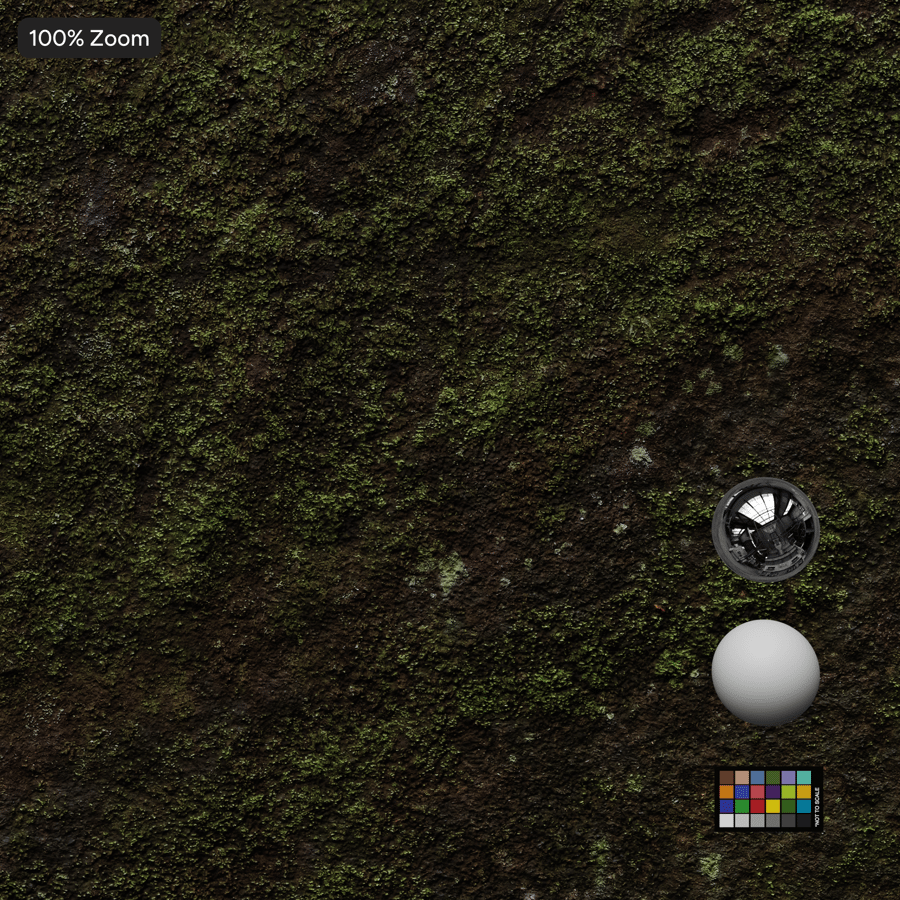 Textura de rocha de penhasco musgoso