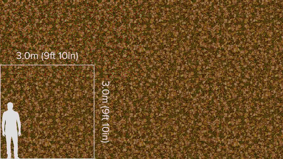 Textura de folhas de outono na relva