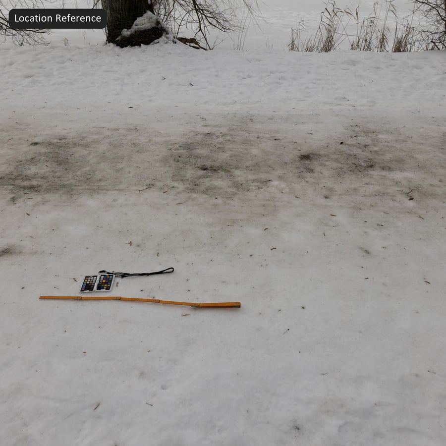 Текстура следов на грязном снегу