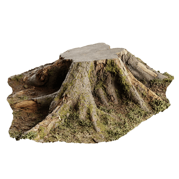 Short Cut Mossy Forest Roots Stump Model