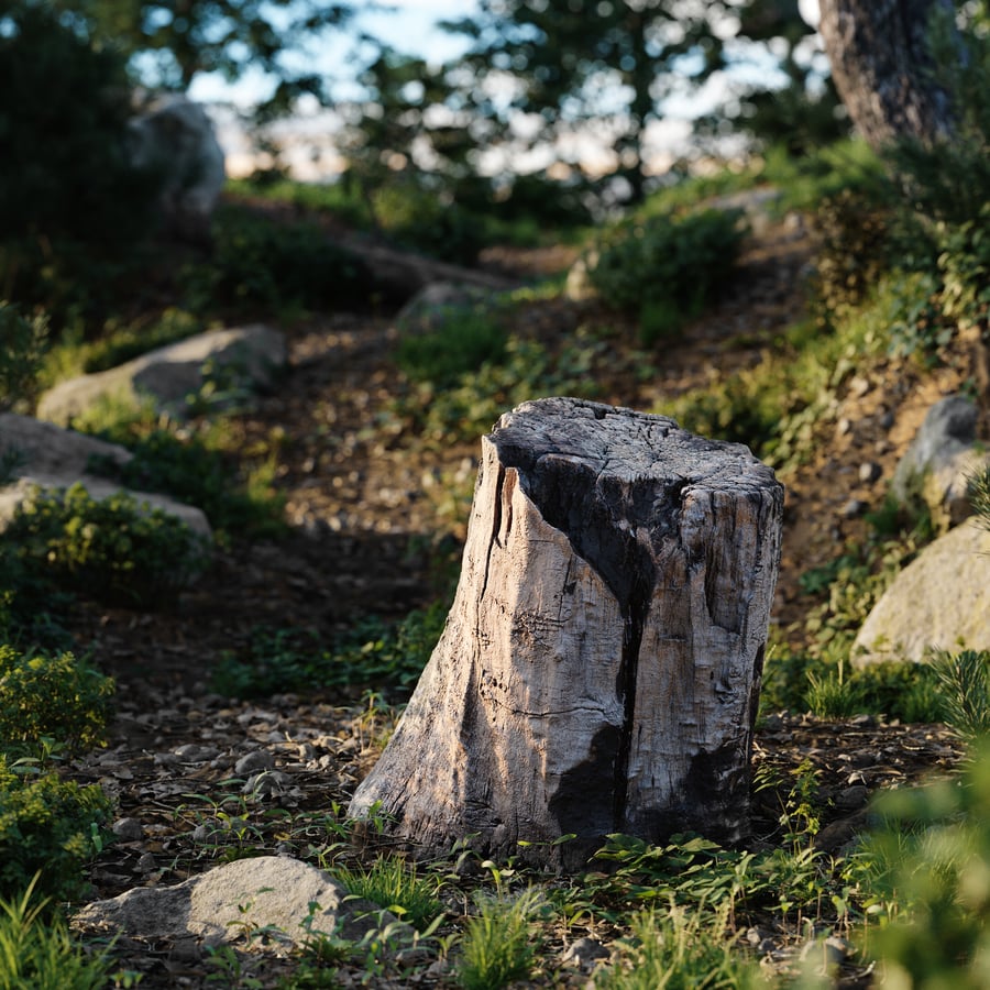 Medium Burned Cut Deciduous Stump Model