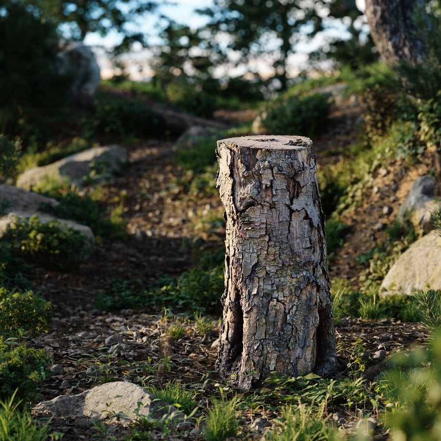 Medium Cut Flaking Conifer Stump Model