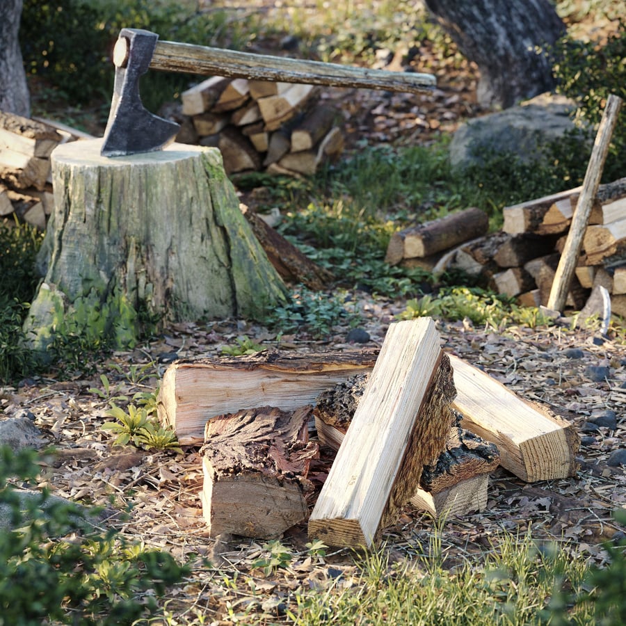 Split Deciduous Firewood Models Collection