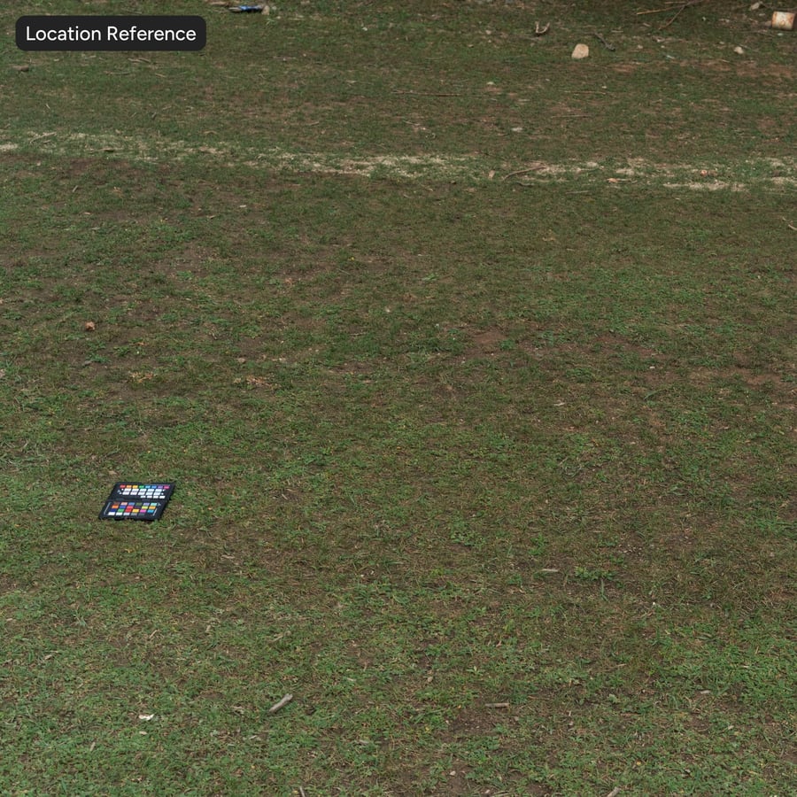 Sparse Grass Texture