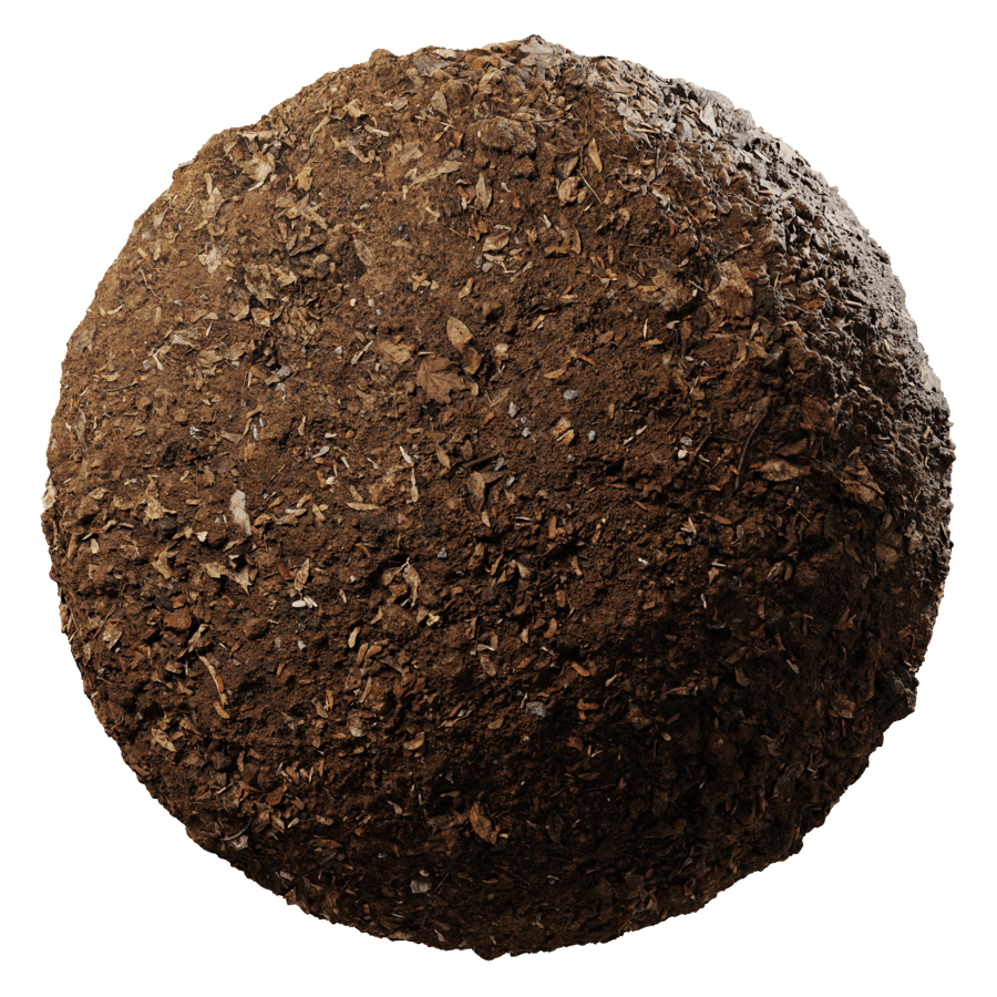 Soil With Forest Debris Ground Texture