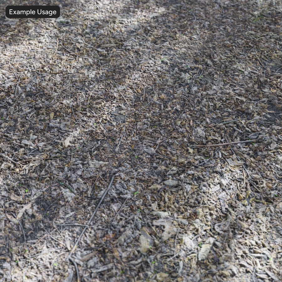 Texture de feuilles et de brindilles séchées, gris