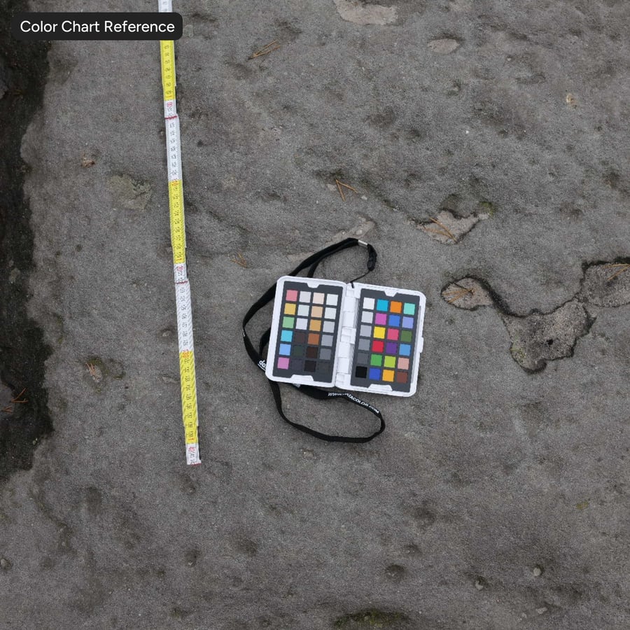 Pitted Rock Ground Texture, Grey
