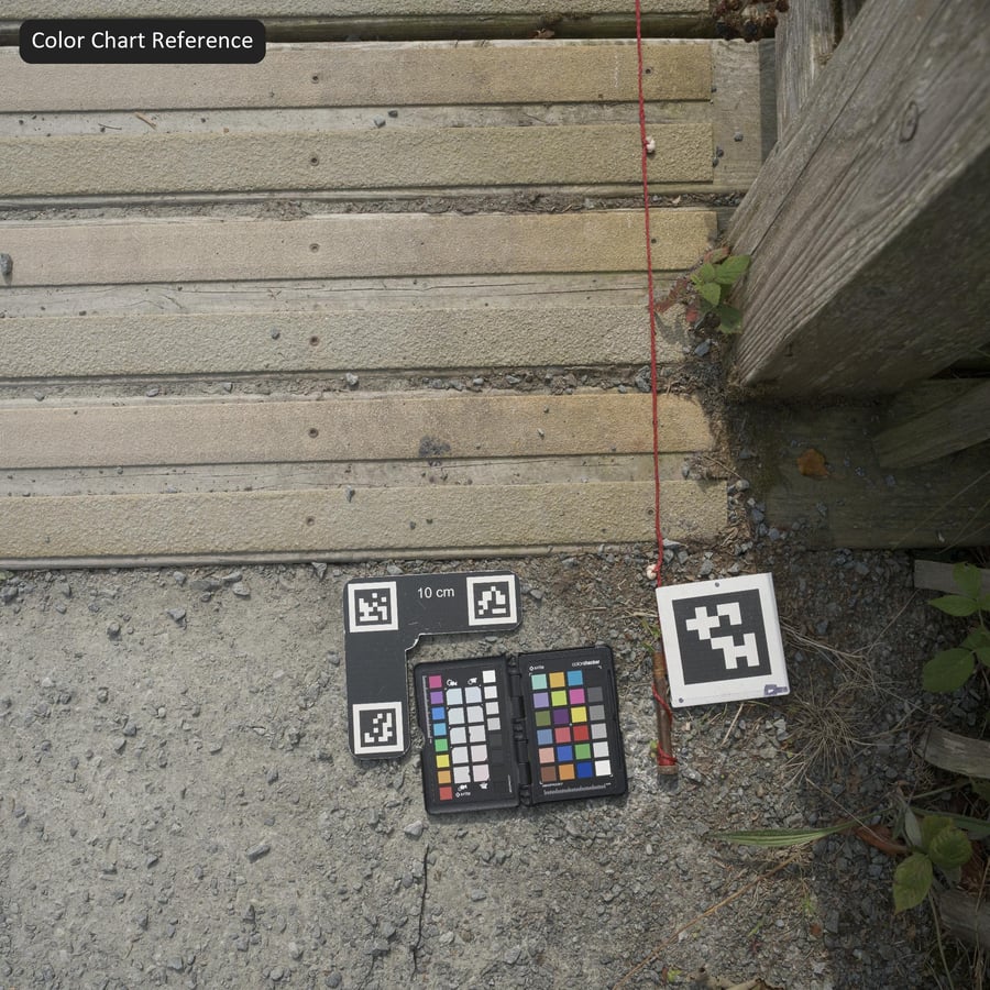 Tread and Grip Wood Deck Texture, vit