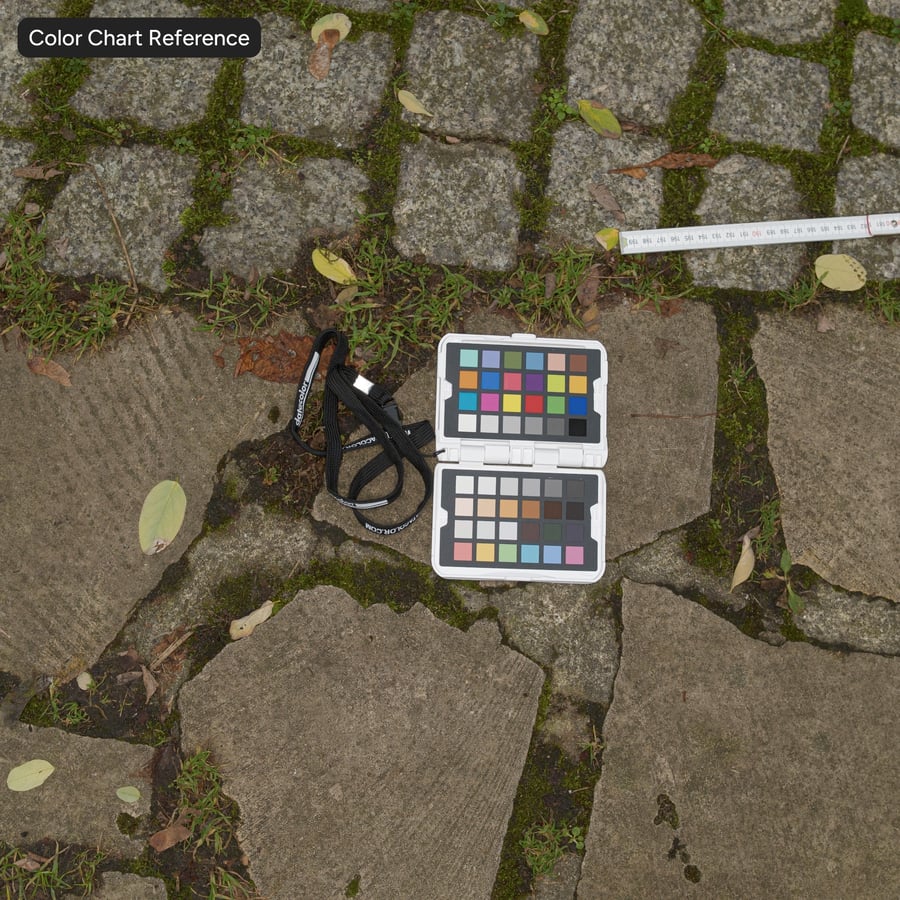 Leaves on Flat Stone Sidewalk Texture