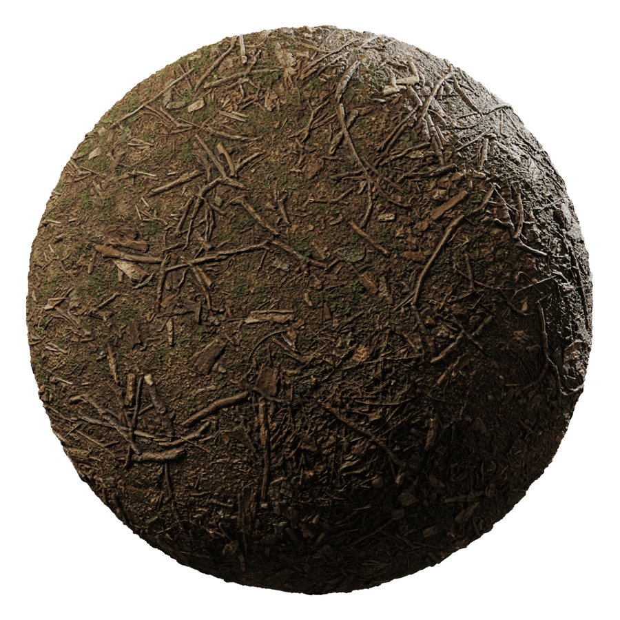 Forest Stick Debris Ground Texture