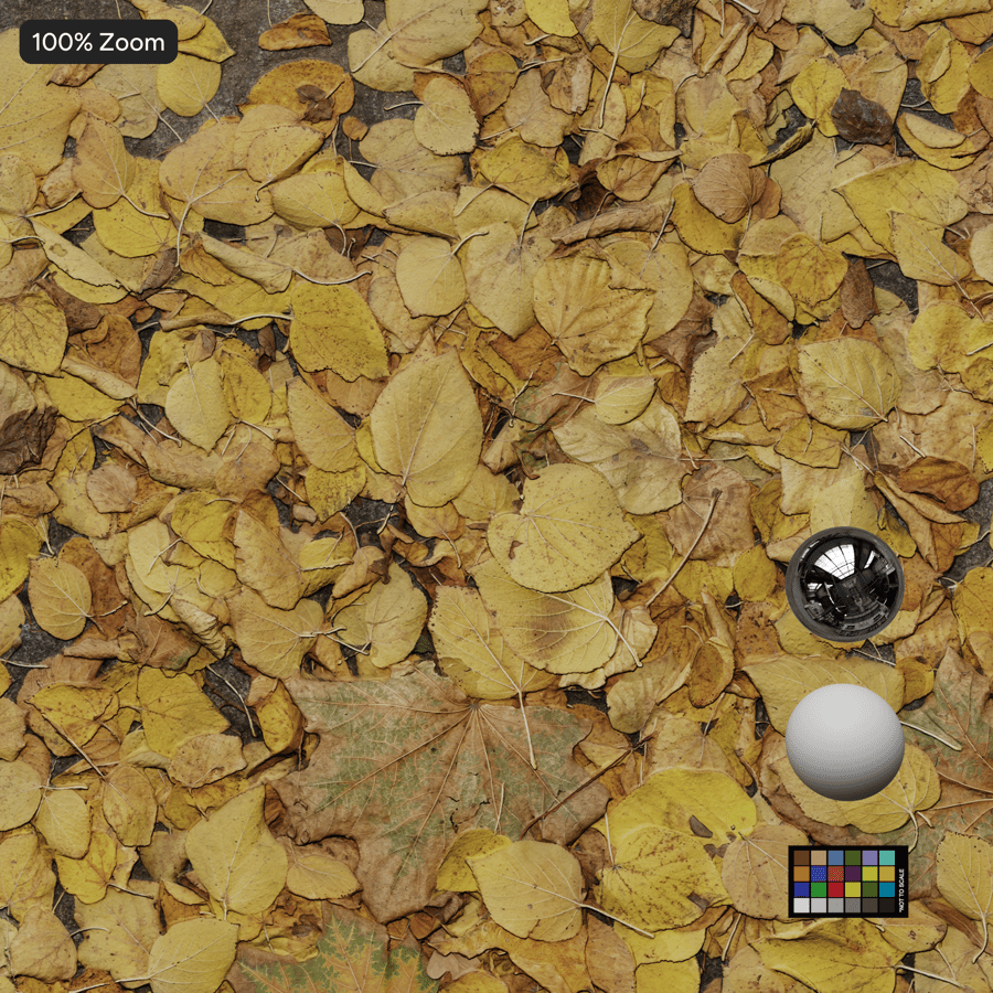 Podzimní spadané listí