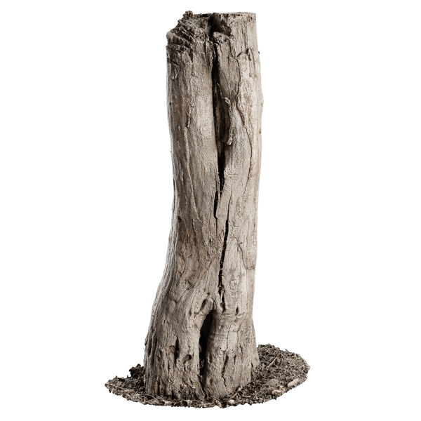 Tall Cut Bare Split Stump Model