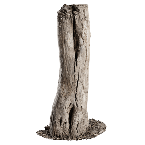 Tall Cut Bare Split Stump Modelo