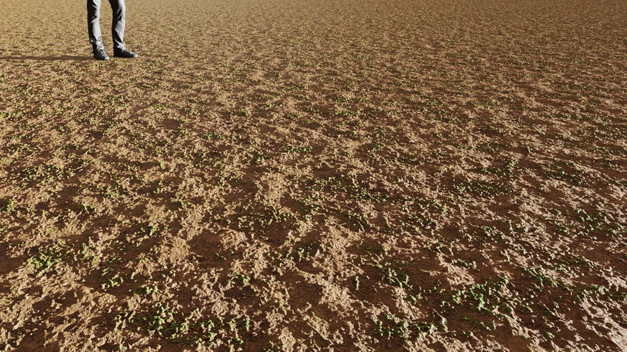 Ervas daninhas esparsas sobre textura de terra