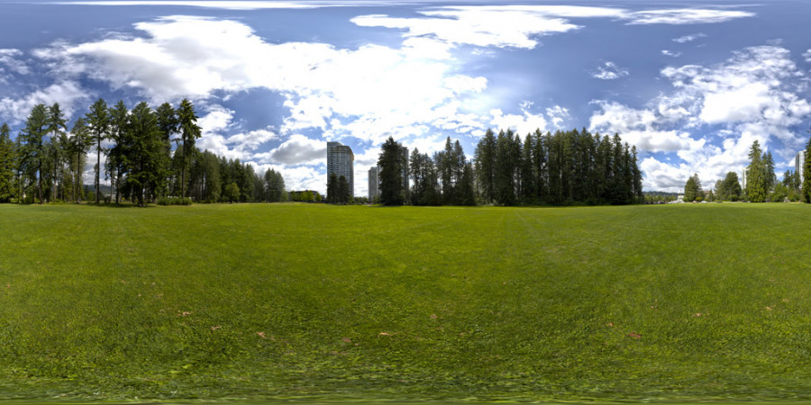 Grassy Field Partly Cloudy Day Outdoor Sky HDRI