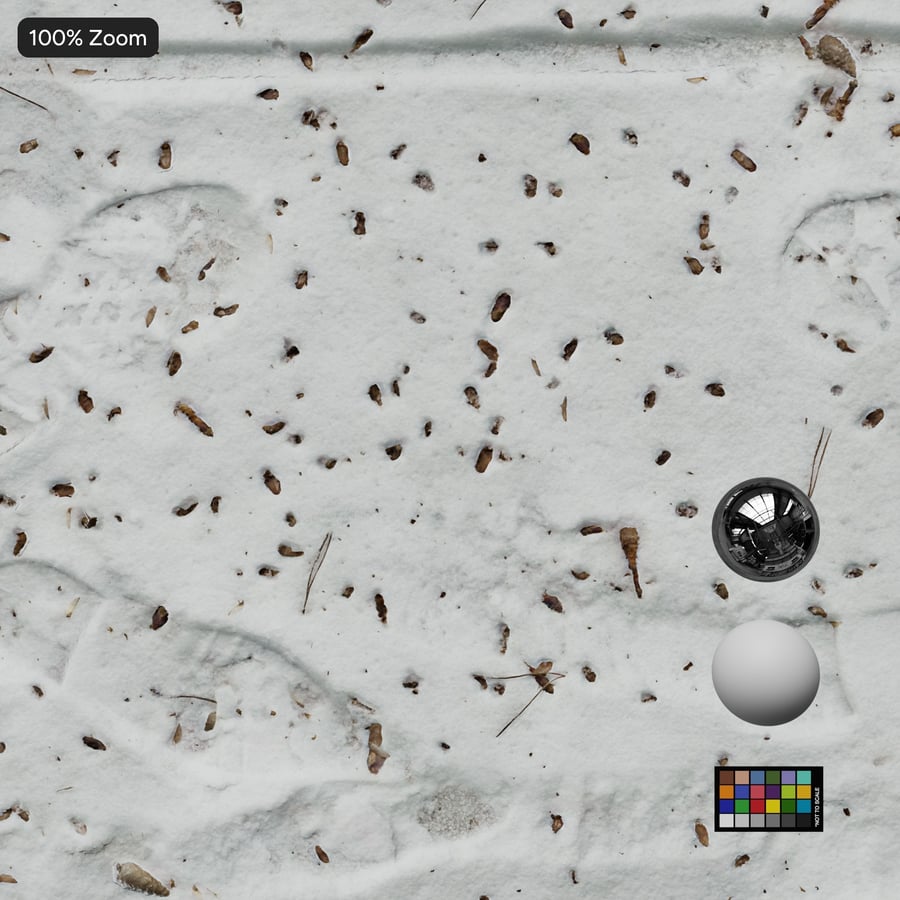 Debris and Footprint on Snow Texture