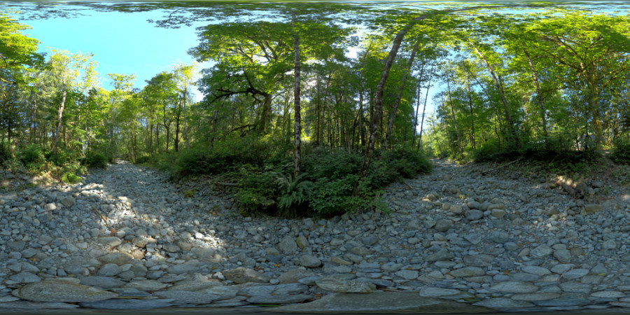 Hdr Outdoor Forest Dry Creek Day Clear 001