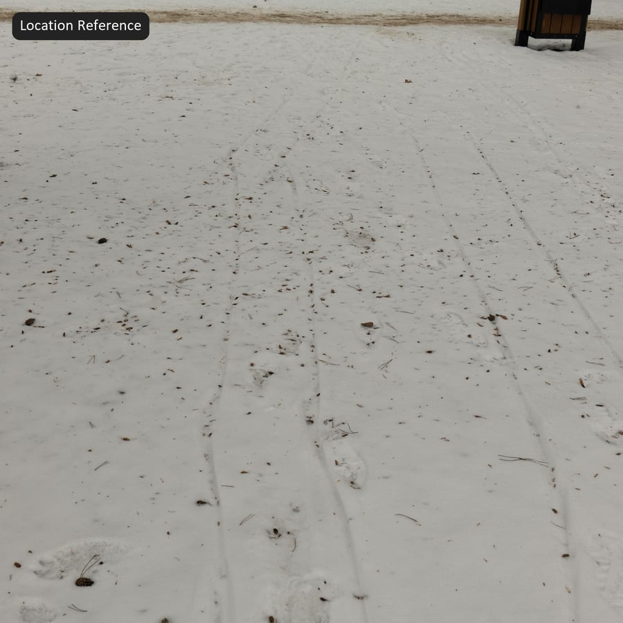 Debris and Footprint on Snow Texture