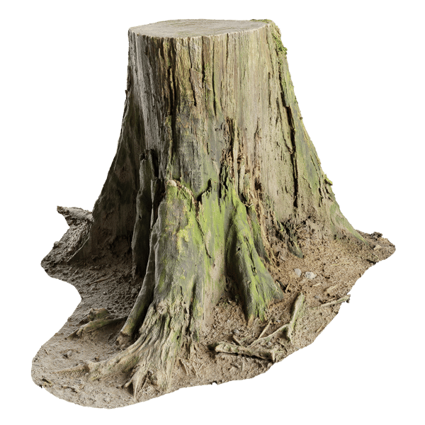 Short Cut Mossy Forest Stump Model