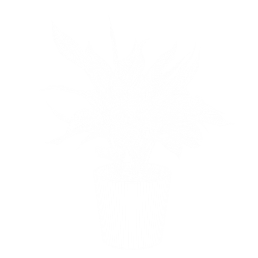 Modelo de planta Aglaonema