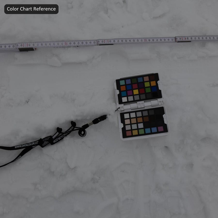 Footprints on Thick Snow Texture