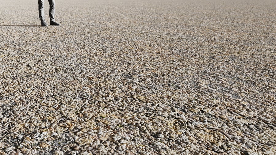 Pale Forest Leaves Ground Texture