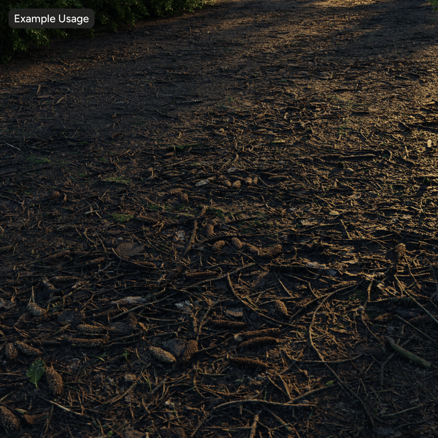 Texture du sol de la forêt sèche