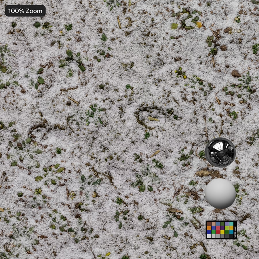 Textura de neve na relva