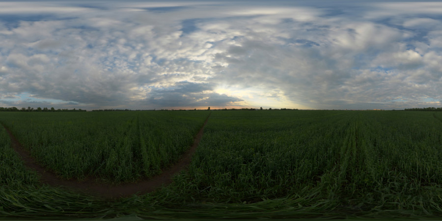 Scattered Cloud Sunset Field Outdoor Sky HDRI