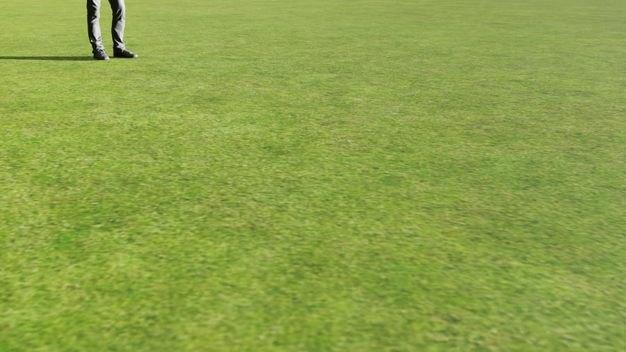 Textura de campo gramado, verde