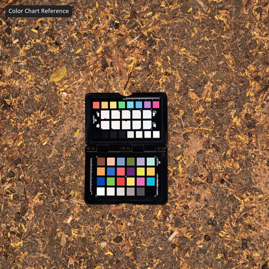 Beschädigtes Aggregat Asphalttextur