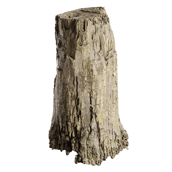 Medium Cut Decaying Mossy Stump Model