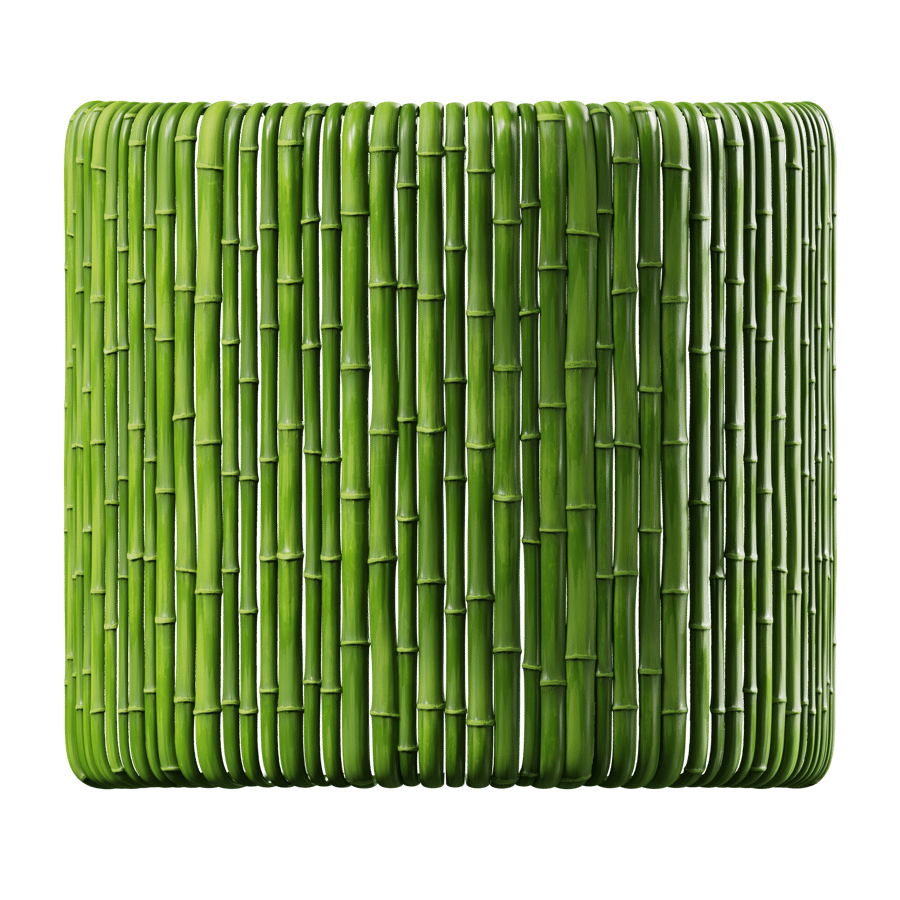 Bamboo Wall Texture, Fresh Green