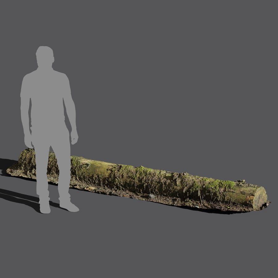 Large Decaying Mossy Forest Log Model