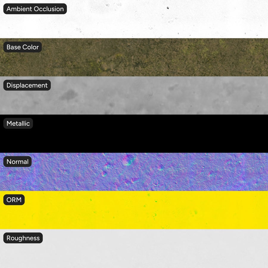 Algae Covered Ground Texture