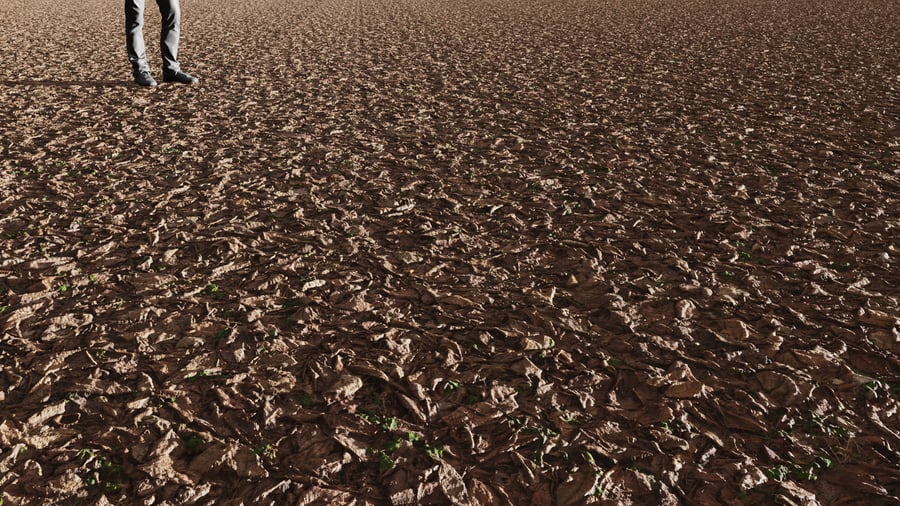 Dark Dried Leaves & Weeds Ground Texture