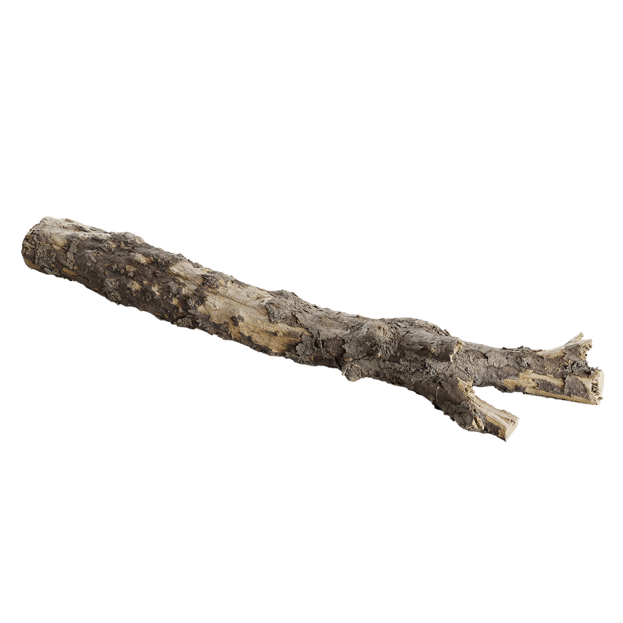 Large Branched Conifer Log Model