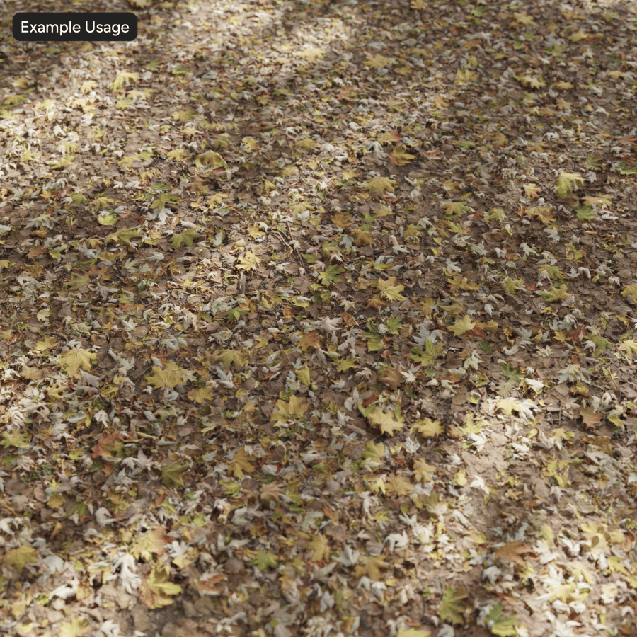 Feuilles d'érable denses d'automne sur le sol Texture