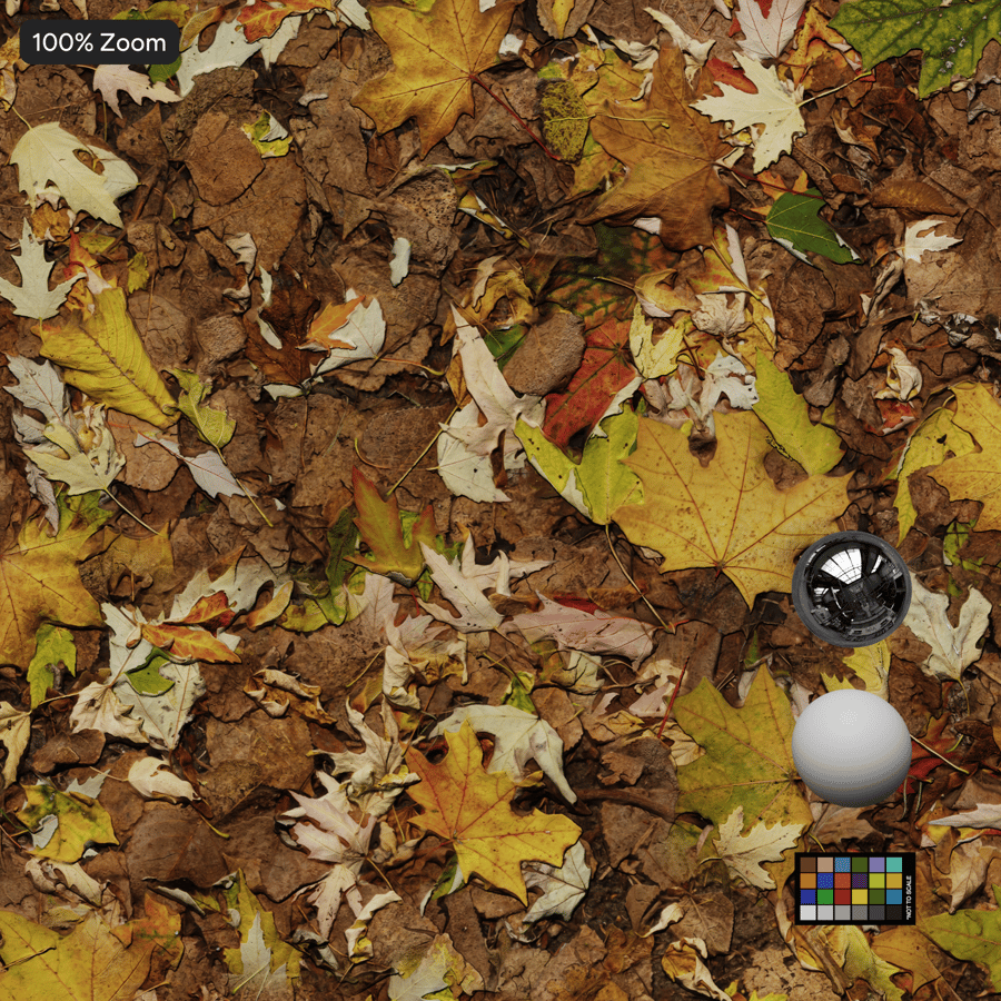 Feuilles d'érable denses d'automne sur le sol Texture